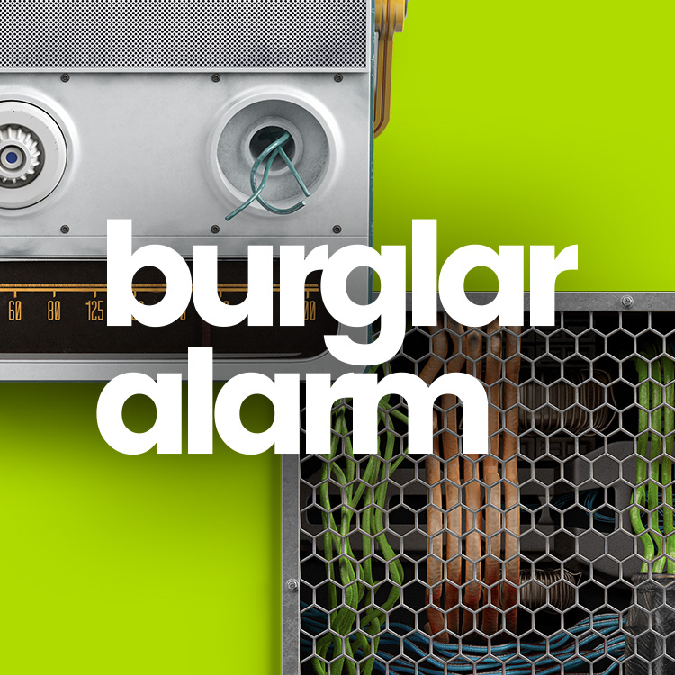Burglar Alarm Small