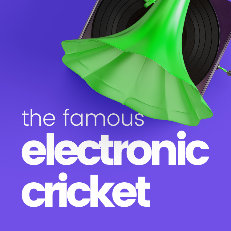 Electronic Cricket